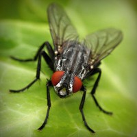 /album/natalina485/photolia-a01-jpg/