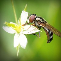 /album/natalina485/photolia-a02-jpg/