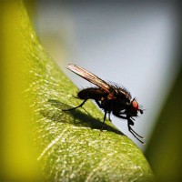 /album/natalina485/photolia-a04-jpg/