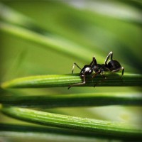 /album/natalina485/photolia-a05-jpg/