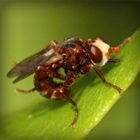 /album/natalina485/photolia-a06-jpg/