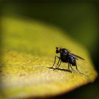 /album/natalina485/photolia-a07-jpg/