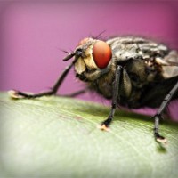 /album/natalina485/photolia-a08-jpg/